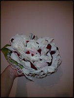 www.floristic.ru - .    !!!