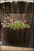 www.floristic.ru - .  .