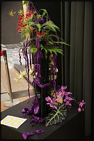 www.floristic.ru - .  .