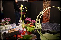 www.floristic.ru - . 13-     (,26-28  2010 .)