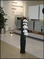 www.floristic.ru - .    