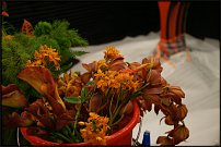 www.floristic.ru - . 13-     (,26-28  2010 .)