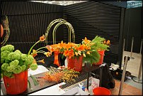 www.floristic.ru - . 13-     (,26-28  2010 .)