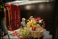 www.floristic.ru - . 13-     (,26-28  2010 .)