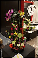 www.floristic.ru - . 13-     (,26-28  2010 .)