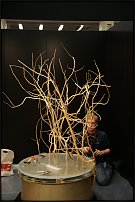 www.floristic.ru - . 13-     (,26-28  2010 .)