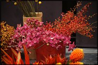 www.floristic.ru - . 13-     (,26-28  2010 .)