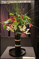 www.floristic.ru - . 13-     (,26-28  2010 .)