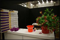 www.floristic.ru - . 13-     (,26-28  2010 .)