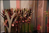 www.floristic.ru - . 13-     (,26-28  2010 .)