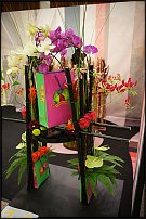 www.floristic.ru - . 13-     (,26-28  2010 .)