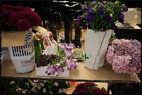 www.floristic.ru - . 13-     (,26-28  2010 .)