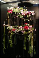 www.floristic.ru - . 13-     (,26-28  2010 .)