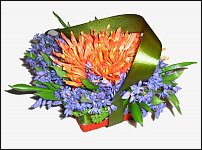 www.floristic.ru - . -