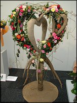 www.floristic.ru - . 13-     (,26-28  2010 .)