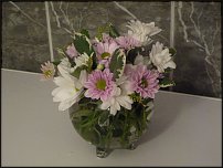 www.floristic.ru - .  .