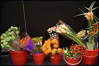 www.floristic.ru - . 13-     (,26-28  2010 .)