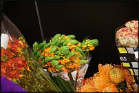 www.floristic.ru - . 13-     (,26-28  2010 .)