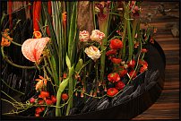 www.floristic.ru - . 13-     (,26-28  2010 .)