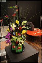 www.floristic.ru - . 13-     (,26-28  2010 .)