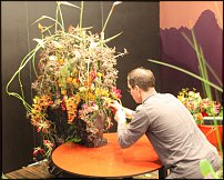 www.floristic.ru - . 13-     (,26-28  2010 .)