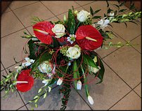 www.floristic.ru - .  .