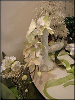 www.floristic.ru - .  !