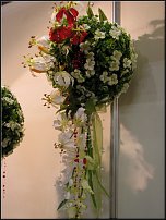 www.floristic.ru - Флористика. Мы открылись!