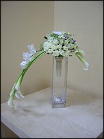 www.floristic.ru - .  .