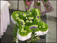 www.floristic.ru - . .  "   "  . 2010