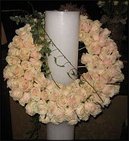 www.floristic.ru - . -     22.01.2010