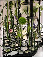 www.floristic.ru - . .  "   "  . 2010