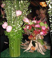 www.floristic.ru - . -     22.01.2010