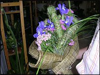 www.floristic.ru - . -