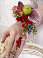 www.floristic.ru - .    -  .