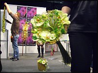 www.floristic.ru - . .  "   "  . 2010