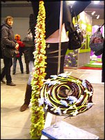 www.floristic.ru - . .  "   "  . 2010