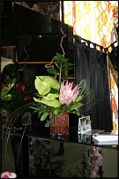 www.floristic.ru - .  