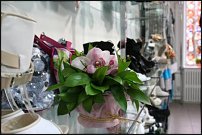 www.floristic.ru - .  