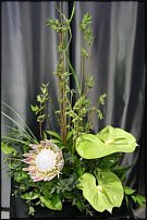 www.floristic.ru - .  