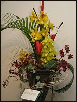 www.floristic.ru - .   