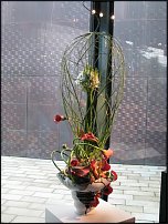 www.floristic.ru - Флористика. Флористика в Калифорнии