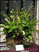 www.floristic.ru - .   