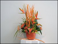 www.floristic.ru - .   