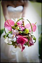 www.floristic.ru - .   