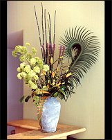www.floristic.ru - .   