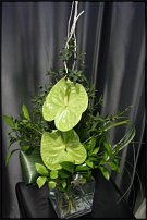 www.floristic.ru - .  