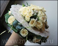 www.floristic.ru - .    (, - )