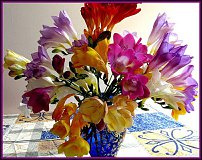 www.floristic.ru - . Freesia - 