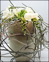 www.floristic.ru - . Freesia - 